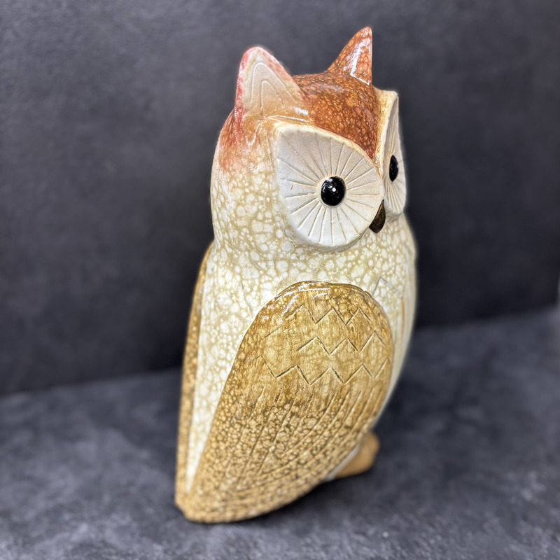 Nattfari Le hiboux somnambule – Image 3